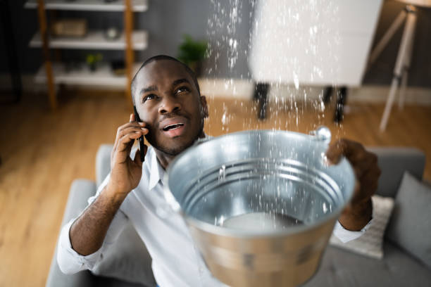 Best Mold removal after water damage  in Eaton, OH