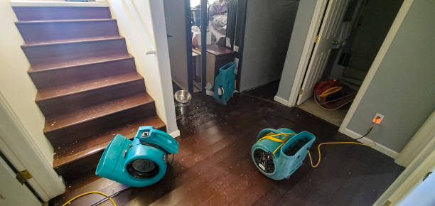 Best Water damage cleanup near me  in Eaton, OH