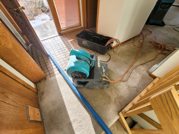 Best Flooded house restoration  in Eaton, OH