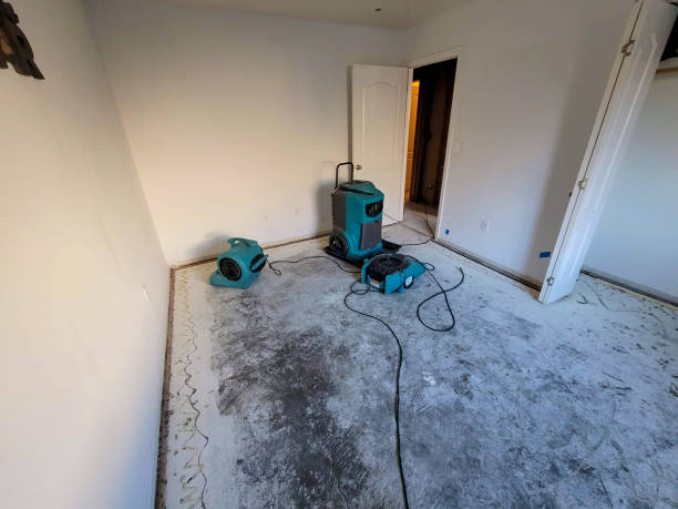 Best Water damage contractors near me  in Eaton, OH
