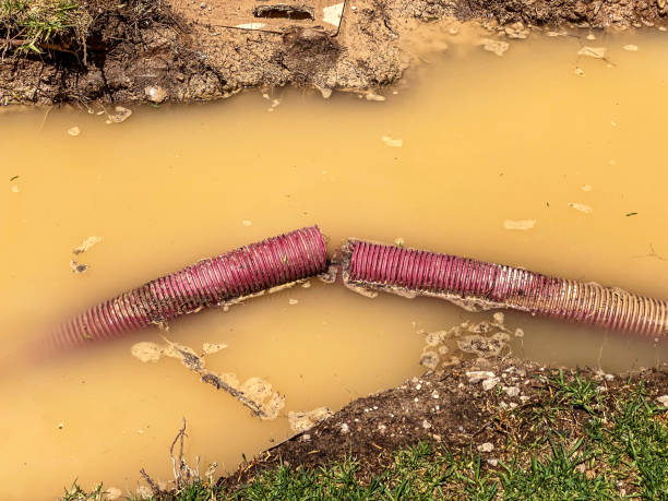 Best Commercial water damage restoration  in Eaton, OH