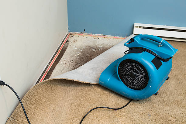 Best Flooded house restoration  in Eaton, OH